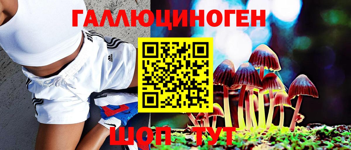 Псилоцибиновые грибы Magic Shrooms  Галлюциногенные грибы GOLDEN TEACHER  Вход с VPN  Качканар 