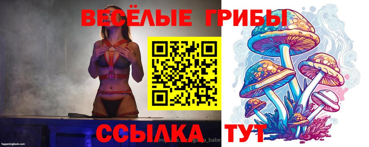 Псилоцибиновые грибы Psilocybine cubensis Качканар